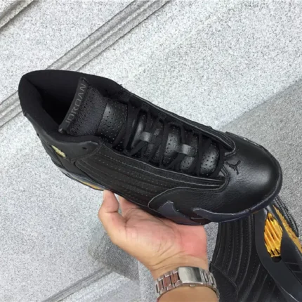 Air Jordan 14 DMP (6)