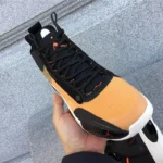 Nike Air Jordan 34 BQ3381 800 (5)